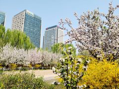 -海棠花溪(元大都城垣遗址公园)