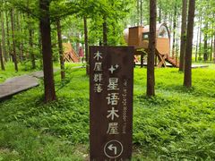 -黄海国家森林公园