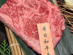 -老乾杯(深圳湾万象城店)