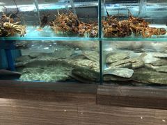 -保定会馆(裕华店)