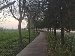 -汉长安城未央宫国家考古遗址公园