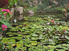 -南京市无想山景区