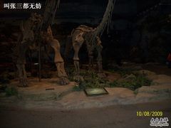 -自贡恐龙博物馆