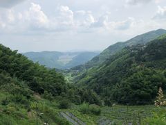 -长沙黑麋峰国家森林公园