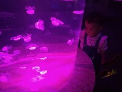 -石家庄极地海洋世界