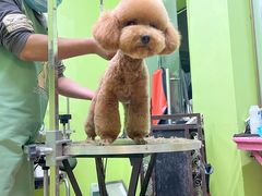 -沐沐家宠物(成寿寺店)