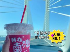 -南澳岛打卡果汁冰公司