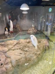 点击看大图 -七巧国萌宠乐园(龙湖天街店)
