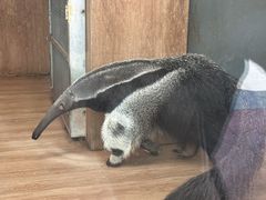-无锡动物园·太湖欢乐园