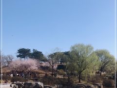 -北京西山国家森林公园