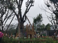 -三圣花乡旅游区