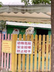 -萌宠亲子动物乐园(槐房万达店)