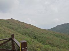 -大围山国家森林公园