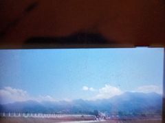 -曲江薰衣草庄园