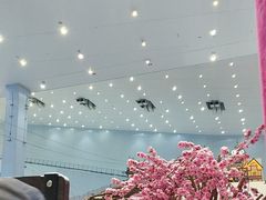 -广州热雪奇迹