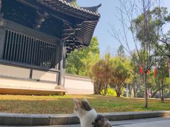 -荔湾湖公园