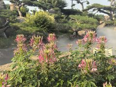 -罗红摄影艺术馆