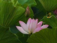 -长春市南湖公园