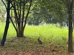 -浙江农林大学(东湖校区)