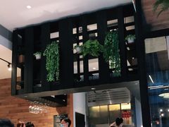 -Elephant Grounds(STARSTREET)