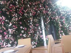 三楼花墙-辛德勒啤酒德餐厅