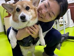 -美联众合动物医院·24h转诊中心