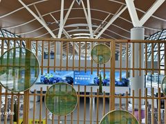 -浦东机场国航头等贵宾室