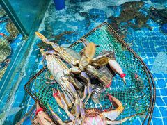-良师门滨海人家·海鲜·家常菜(滨海城店)