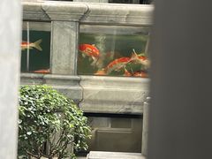 -颐和路民国时期公馆风貌区