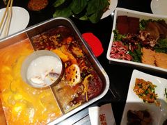 红汤梭边鱼锅-新辣道鱼火锅(西直门店)