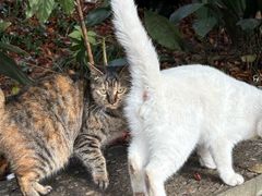 -狼山风景名胜区