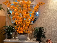 -鹿港小镇(黄金店)