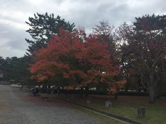 -京都御所