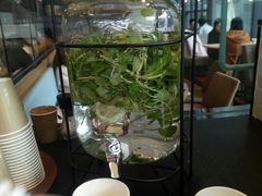 -麦田工坊(月湖店)