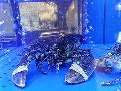 -AZUR聚(香格里拉饭店)