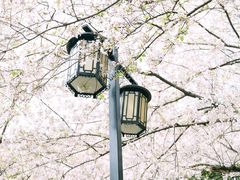 -苏州上方山国家森林公园