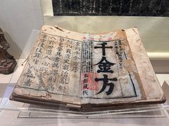 -广东中医药博物馆