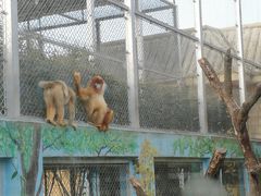 -西安秦岭野生动物园