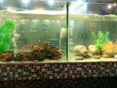 水产区-巽寮印象美食部落餐厅·海鲜·地方特色菜(惠州体验店)