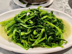 -小杨酒家(华苑小区店)