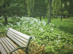 -森林公园(尖草坪区)