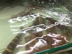 -班赞海鲜市场