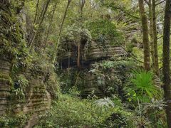 -梭布垭石林景区