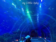 -成都浩海立方海洋公园