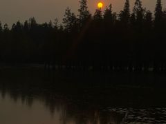 -白鹭湾湿地公园