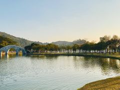 -顺峰山公园