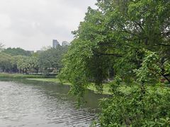 -荔湾湖公园