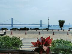 -天顺渔港·海景餐厅(星海广场店)