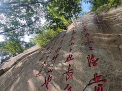 -沂蒙山旅游区龟蒙景区