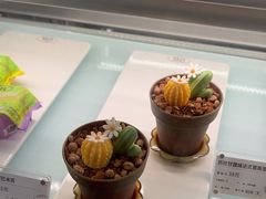 -GANSO元祖食品(金菊路店)